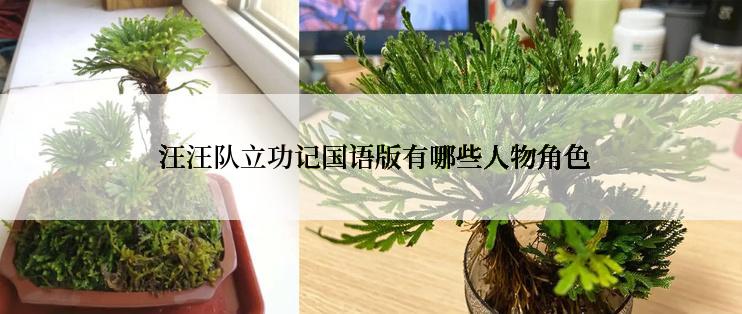  汪汪队立功记国语版有哪些人物角色