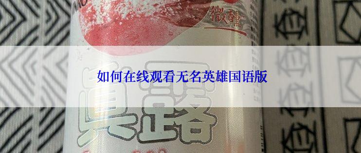  如何在线观看无名英雄国语版