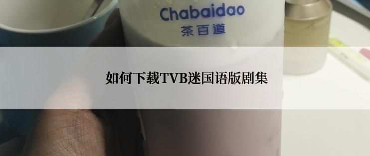  如何下载TVB迷国语版剧集