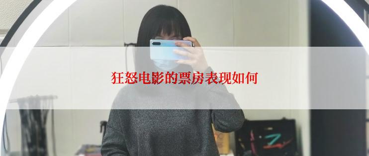 狂怒电影的票房表现如何