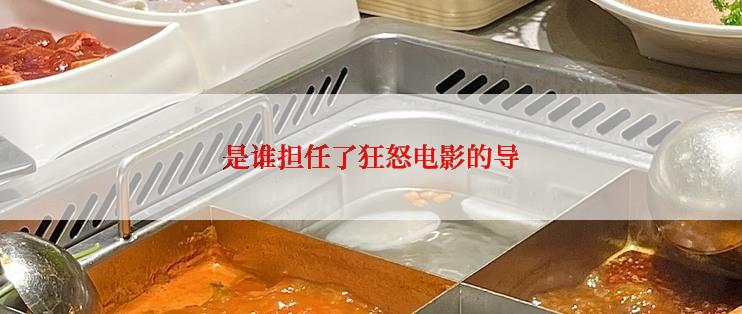 是谁担任了狂怒电影的导