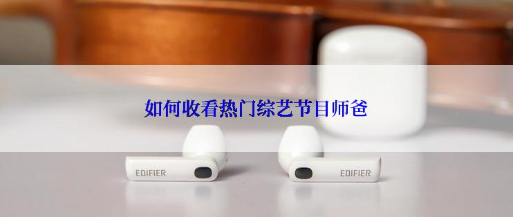 如何收看热门综艺节目师爸