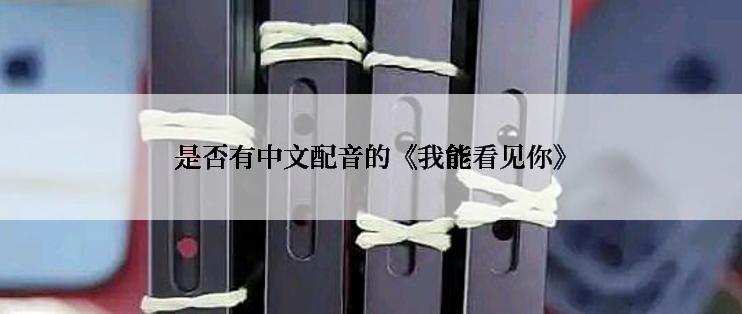 是否有中文配音的《我能看见你》