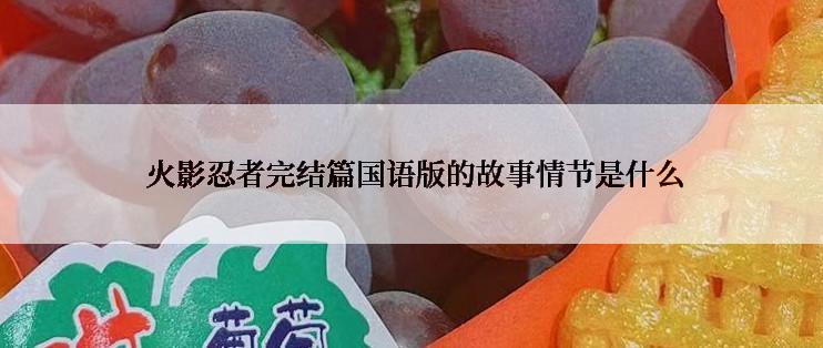  火影忍者完结篇国语版的故事情节是什么