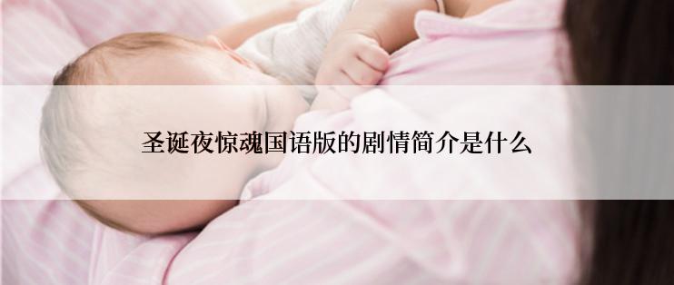 圣诞夜惊魂国语版的剧情简介是什么