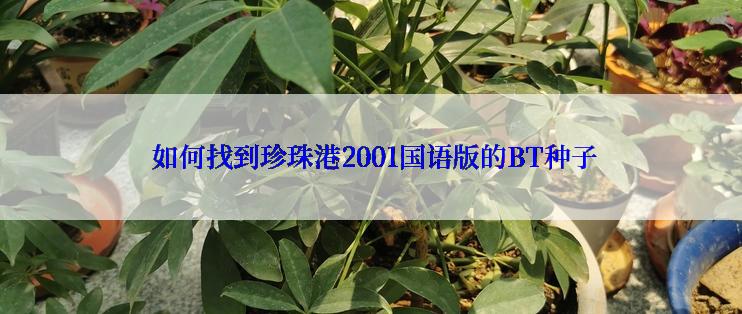  如何找到珍珠港2001国语版的BT种子