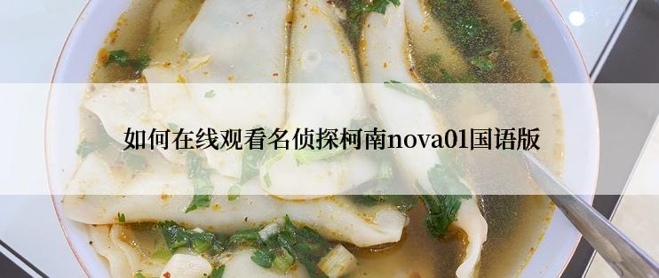  如何在线观看名侦探柯南nova01国语版