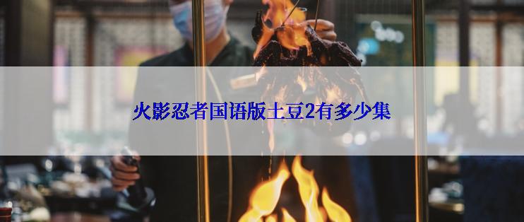 火影忍者国语版土豆2有多少集