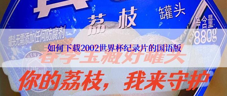  如何下载2002世界杯纪录片的国语版