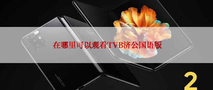  在哪里可以观看TVB济公国语版