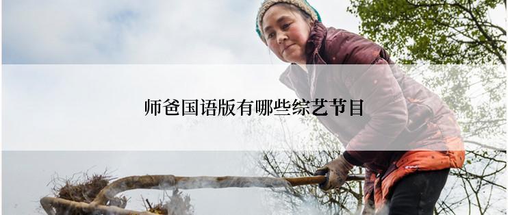 师爸国语版有哪些综艺节目