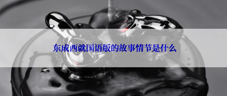  东成西就国语版的故事情节是什么