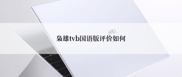 枭雄tvb国语版评价如何