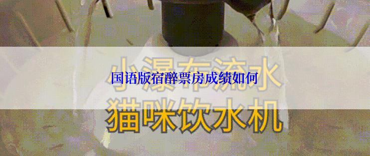 国语版宿醉票房成绩如何