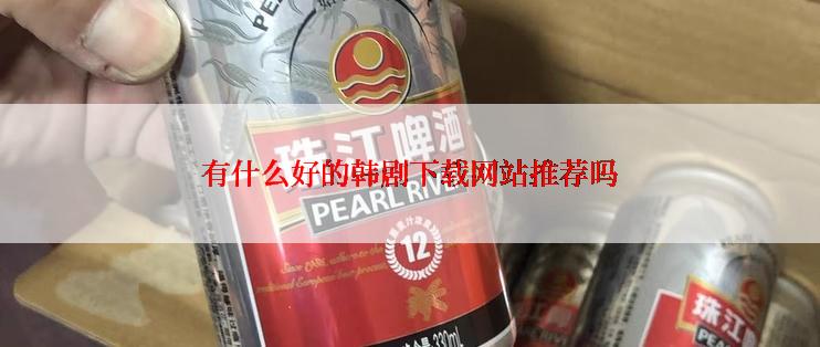 有什么好的韩剧下载网站推荐吗