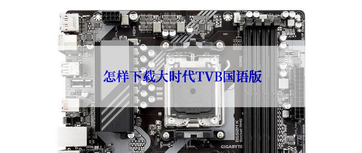  怎样下载大时代TVB国语版