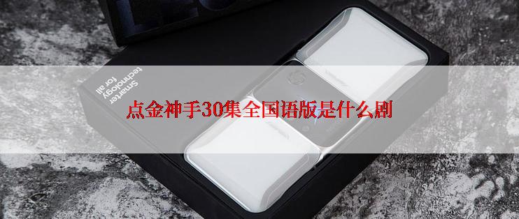 点金神手30集全国语版是什么剧