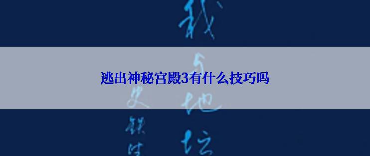 逃出神秘宫殿3有什么技巧吗