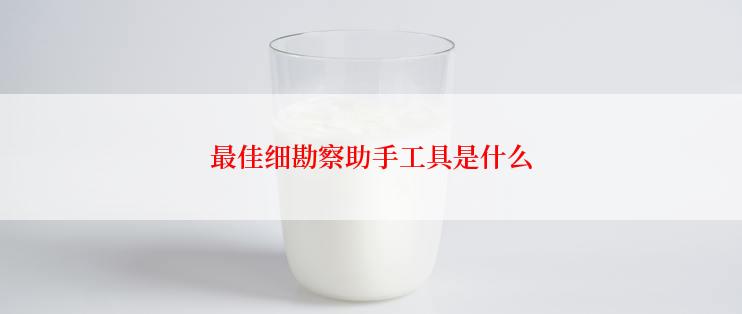 最佳细勘察助手工具是什么