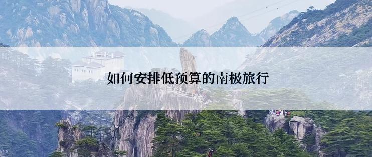  如何安排低预算的南极旅行