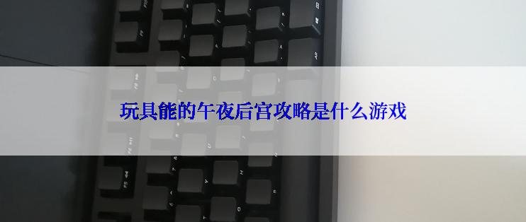 玩具能的午夜后宫攻略是什么游戏