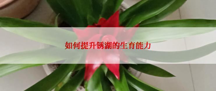 如何提升锈湖的生育能力