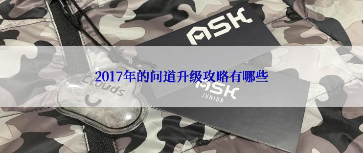 2017年的问道升级攻略有哪些