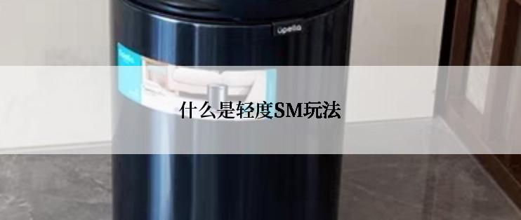 什么是轻度SM玩法