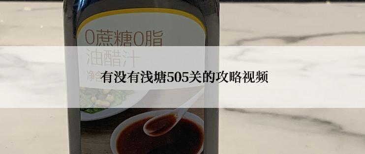  有没有浅塘505关的攻略视频