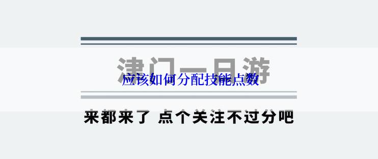  应该如何分配技能点数