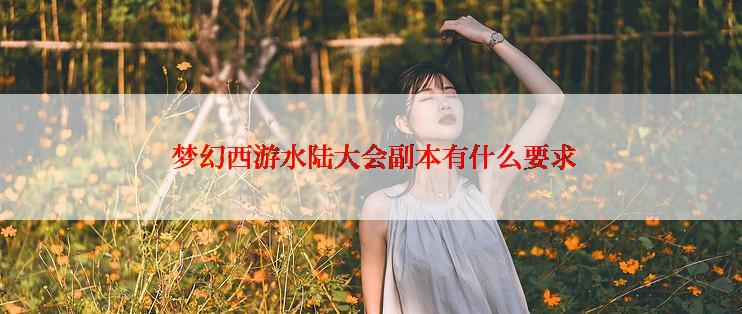  梦幻西游水陆大会副本有什么要求