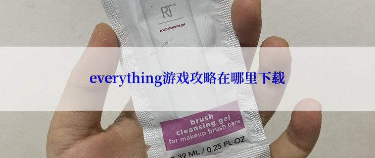 everything游戏攻略在哪里下载