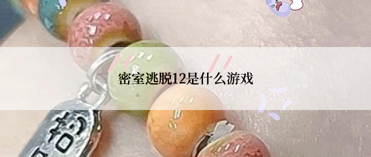 密室逃脱12是什么游戏