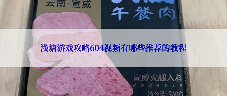 浅塘游戏攻略604视频有哪些推荐的教程