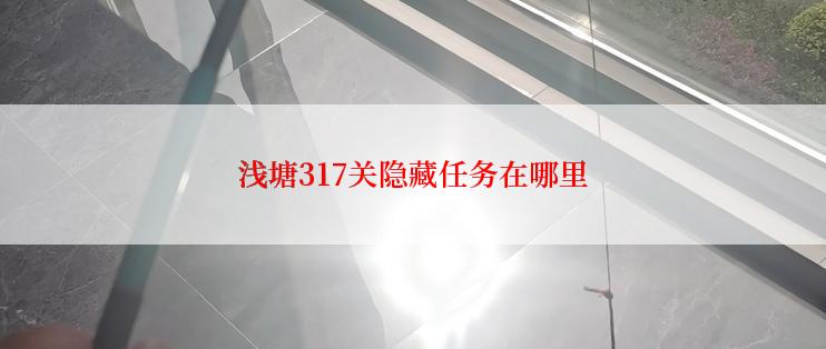 浅塘317关隐藏任务在哪里