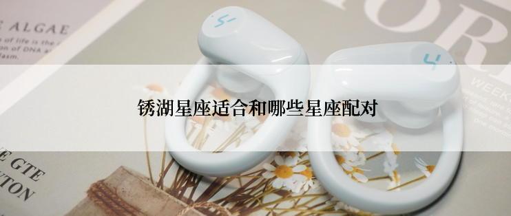  锈湖星座适合和哪些星座配对