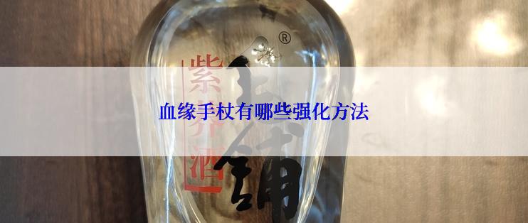 血缘手杖有哪些强化方法