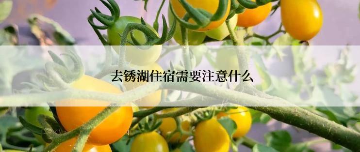  去锈湖住宿需要注意什么