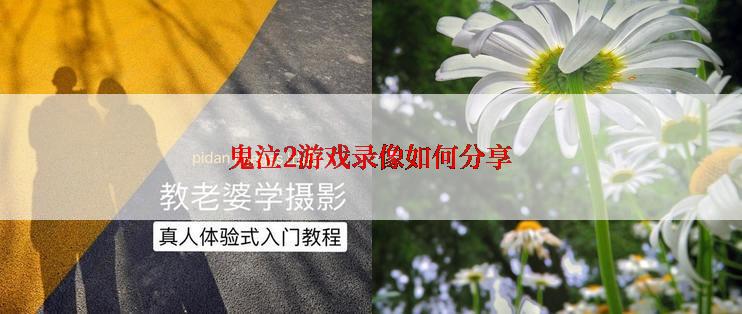 鬼泣2游戏录像如何分享