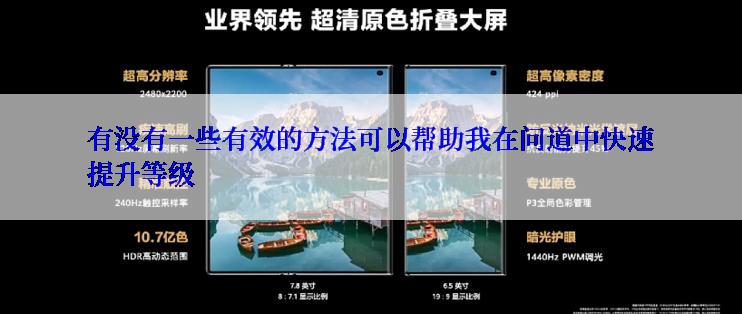 有没有一些有效的方法可以帮助我在问道中快速提升等级