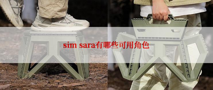 sim sara有哪些可用角色