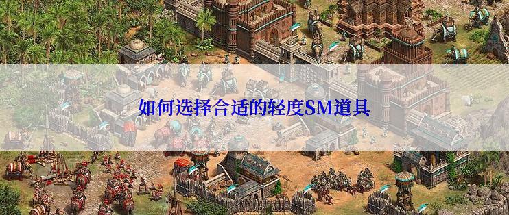 如何选择合适的轻度SM道具