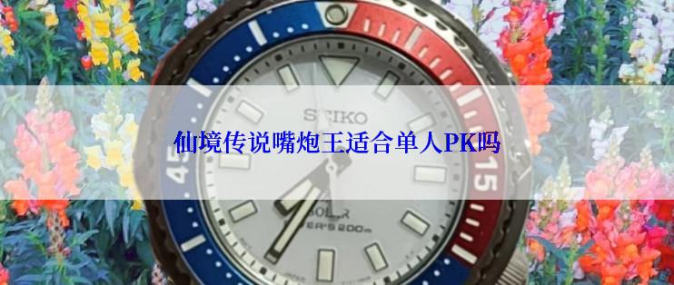 仙境传说嘴炮王适合单人PK吗