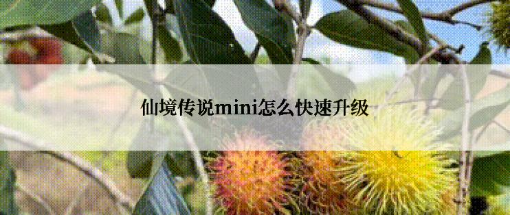 仙境传说mini怎么快速升级