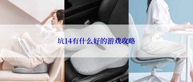 坑14有什么好的游戏攻略