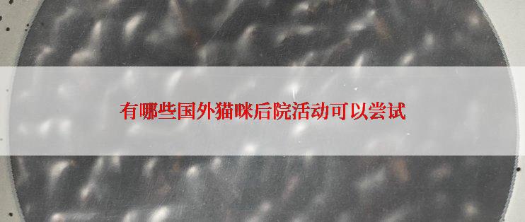 有哪些国外猫咪后院活动可以尝试