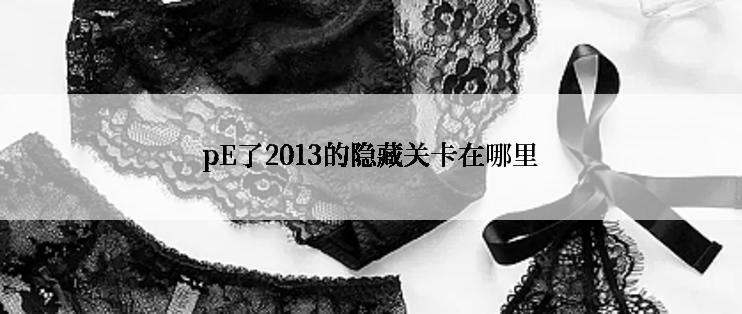 pE了2013的隐藏关卡在哪里