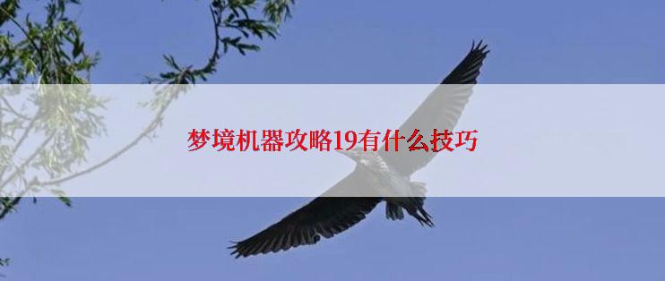 梦境机器攻略19有什么技巧