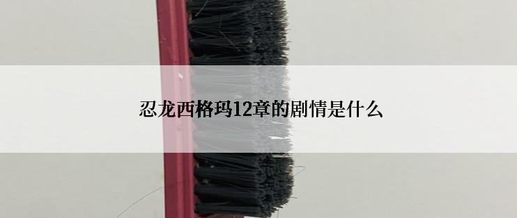  忍龙西格玛12章的剧情是什么