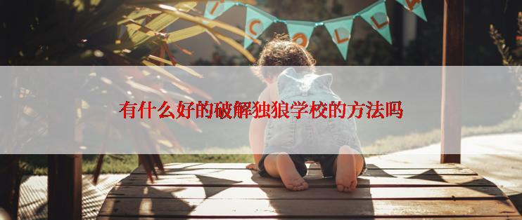 有什么好的破解独狼学校的方法吗